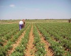 El ayuntamiento de Écija valora muy positivamente el acuerdo alcanzado en la reforma de la política agraria común.