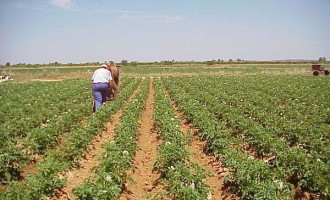 El ayuntamiento de Écija valora muy positivamente el acuerdo alcanzado en la reforma de la política agraria común.