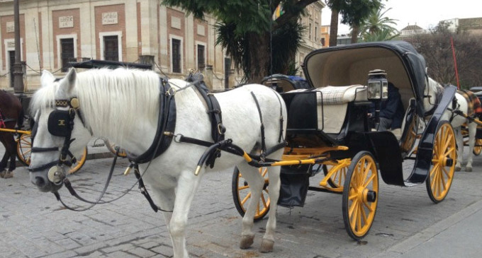 Se crean las Ordenanzas Reguladoras del servicio turístico de coches de caballos en Écija.