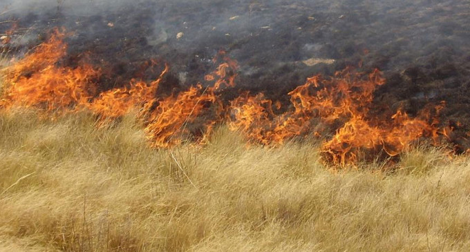 Desde seguridad ciudadana de Écija  se solicita tomar precauciones contra incendios en la época de verano