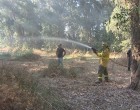 Un incendio quema mas de 2 hectáreas de terreno en el término municipal de Écija.