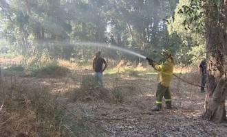 Un incendio quema mas de 2 hectáreas de terreno en el término municipal de Écija.
