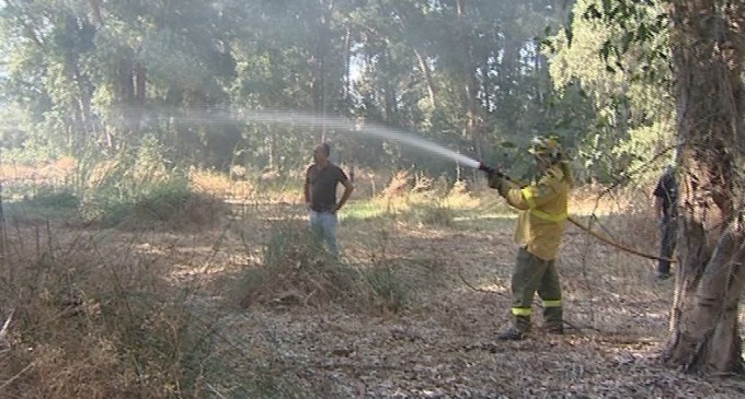 Un incendio quema mas de 2 hectáreas de terreno en el término municipal de Écija.
