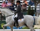 La lesión del caballo Fuego de Cárdenas de Écija, le impidió acudir al Campeonato de Europa.