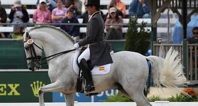 La lesión del caballo Fuego de Cárdenas de Écija, le impidió acudir al Campeonato de Europa.