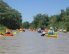 DE ÉCIJA A SEVILLA POR EL RÍO GENIL por Ramón Freire. Diario de a bordo