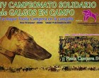 IV Campeonato Solidario de Galgos en Campo a beneficio de la Fundación para el Desarrollo de las Terapias Ecuestres