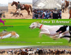 El miércoles 16 de octubre se presenta el cartel del IV Campeonato Benéfico Solidario de Galgos