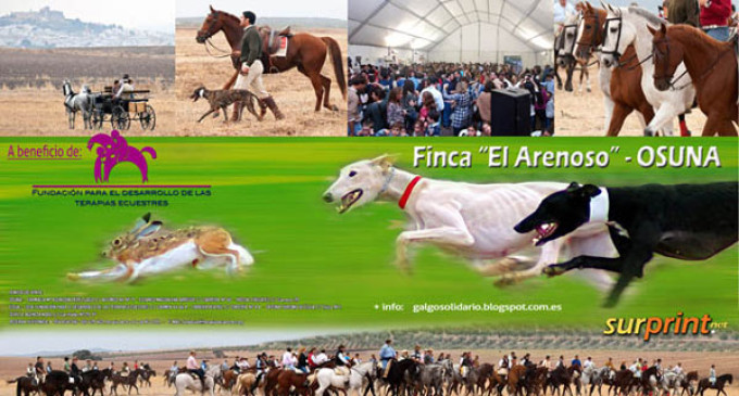 El miércoles 16 de octubre se presenta el cartel del IV Campeonato Benéfico Solidario de Galgos