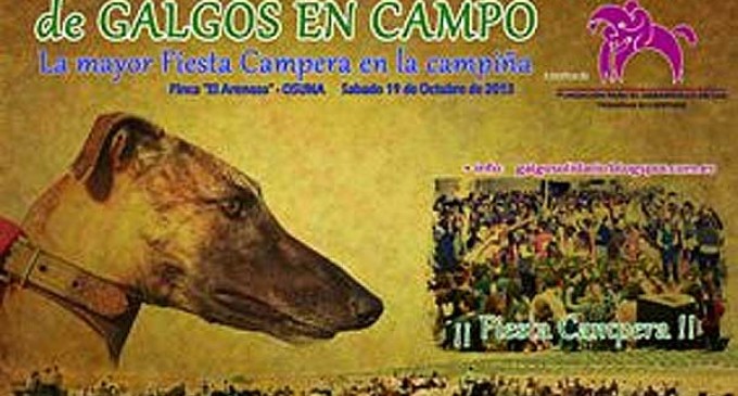 IV Campeonato Solidario de Galgos en Campo a beneficio de la Fundación para el Desarrollo de las Terapias Ecuestres