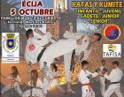 Segunda gran gala de Artes Marciales en Écija, Open Andalucía Karate DO 2013