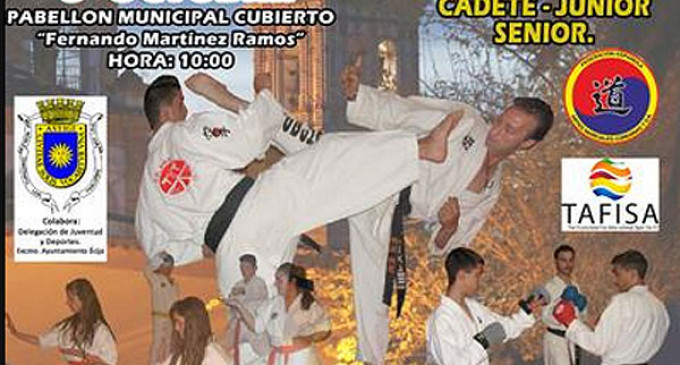 Segunda gran gala de Artes Marciales en Écija, Open Andalucía Karate DO 2013