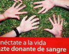 Miércoles, 15: Donación de Sangre en las Escuelas SAFA de Écija