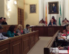 Acuerdos tomados en el pleno de la corporación municipal de Écija de 30 de enero de 2014.