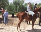 La Asociación de Caballistas de La Rambla pide delimitar la Vereda de Ecija