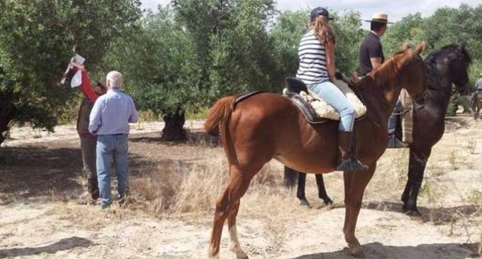 La Asociación de Caballistas de La Rambla pide delimitar la Vereda de Ecija