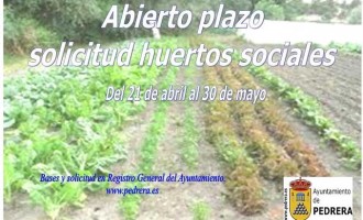 El Ayuntamiento de Pedrera publica las bases que regularán el acceso a 70 huertos sociales