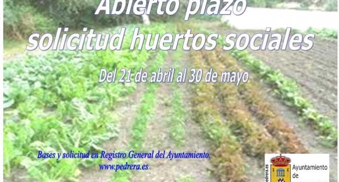 El Ayuntamiento de Pedrera publica las bases que regularán el acceso a 70 huertos sociales