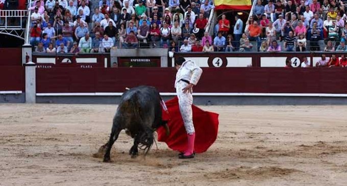 Disposición, firmeza y entrega del torero de Écija, Miguel Ángel Delgado, en Madrid