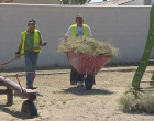 Medio Ambiente de Écija actúa en la Pedanía de Villanueva del Rey