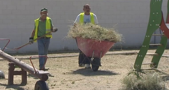 Medio Ambiente de Écija actúa en la Pedanía de Villanueva del Rey