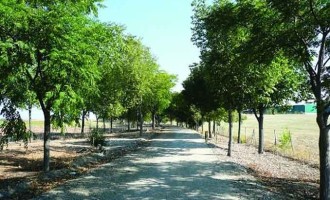 Han comenzado las obras del Plan Supera en la Vía Verde de la Campiña de Écija