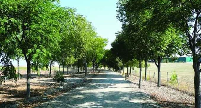 Écija, parte importante del Camino Natural de la Campiña, una ruta de 54 kilómetros