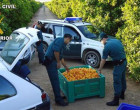 La Policía Nacional colabora en Écija con los grupos Roca de la Guardía Civil contra los robos en el campo