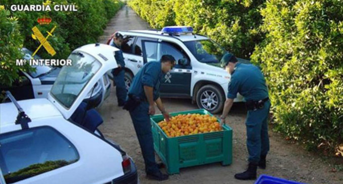 La Policía Nacional colabora en Écija con los grupos Roca de la Guardía Civil contra los robos en el campo