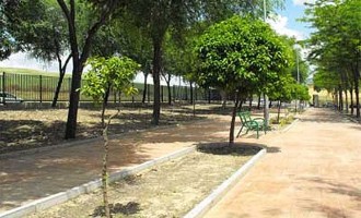El Ayuntamiento de Écija registra un 90% menos de quejas vecinales en seguridad ciudadana y mantiene las demandas referentes a zonas verdes