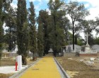 Roban en el cementerio de Écija los bustos de los hermanos Lucena y de Antonio Pérez el Pere