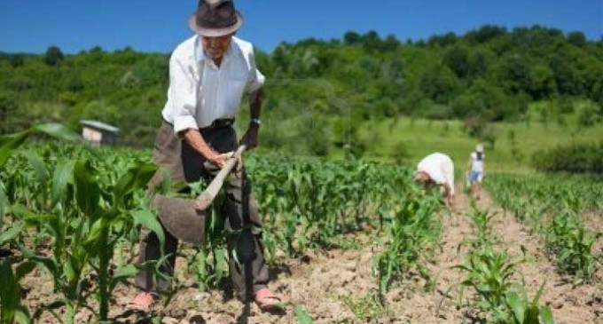 El Gobierno de la nación acoge las peticiones del Pleno de la corporación de Écija, de reducción de las peonadas de los trabajadores agrícolas