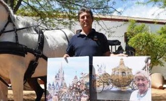 Caballos de Écija en la última película de  Disney, La Cenicienta