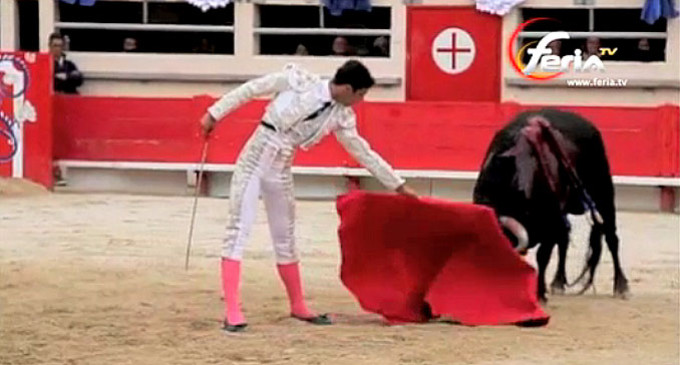 Triunfo del torero de Écija, Miguel Ángel Delgado, cortando la única oreja de la corrida celebrada en Saint Martín de Crau