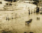 LAS INUNDACIONES SUFRIDAS EN ESPAÑA Y EN LA CIUDAD DE ECIJA EN SEPTIEMBRE DE 1680 por Ramón Freire