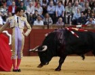 El torero de Écija, Miguel Ángel Delgado, toreará en la Feria de Sevilla