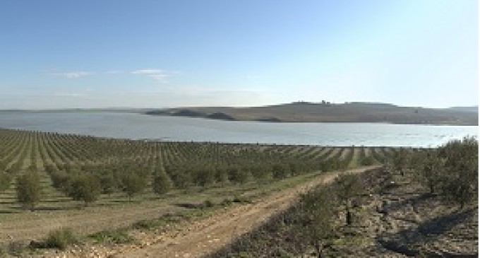 El delegado de Medio Ambiente asiste a la conferencia ‘La  laguna de Ruiz Sánchez: la recuperación del gran humedal de   Écija’