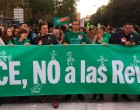 El diputado de Écija por IU en el congreso, Miguel A. Bustamante, en la manifestación de estudiantes contra la reválida