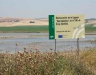 IU de Écija pide al gobierno municipal que trabaje en productos turísticos para la Laguna de Ruiz Sánchez.