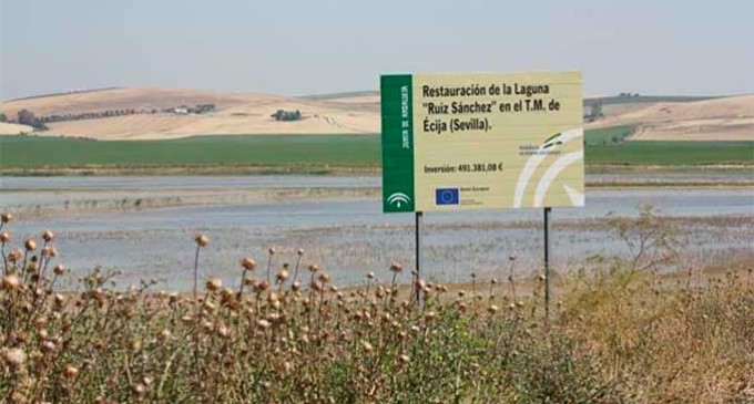IU de Écija pide al gobierno municipal que trabaje en productos turísticos para la Laguna de Ruiz Sánchez.