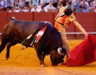 Detalles exquisitos del novillero de Écija, Ángel Jiménez, en la Maestranza (contiene video)