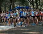 Gran actuación de los atletas ecijanos en el Campeonato de Andalucía de Cross celebrado en San Roque (Cádiz) – video