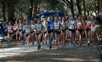 Gran actuación de los atletas ecijanos en el Campeonato de Andalucía de Cross celebrado en San Roque (Cádiz) – video