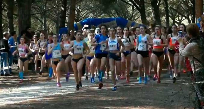 Gran actuación de los atletas ecijanos en el Campeonato de Andalucía de Cross celebrado en San Roque (Cádiz) – video