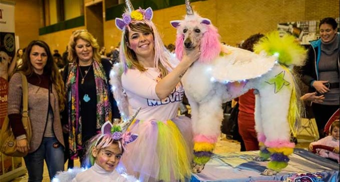 La peluquera canina Carolina Vélez de Écija, obtiene el segundo lugar en el Campeonato celebrado en Sevilla
