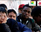IU-Écija analiza el reto migratorio y lanza un mensaje contra el racismo