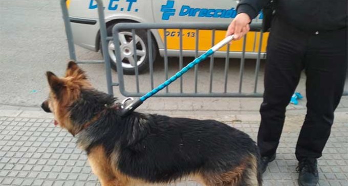 Un perro pastor alemán provoca el desconcierto y panico de niños y padres en el Parque San Pablo de Écija