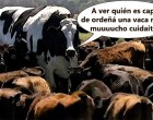 DE LA PATA DEL GORRINO Y LAS VACAS VIOLADAS por Francisco J. Fernández-Pro