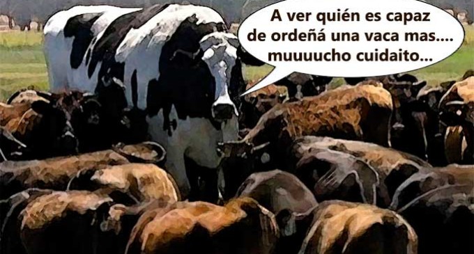 DE LA PATA DEL GORRINO Y LAS VACAS VIOLADAS por Francisco J. Fernández-Pro