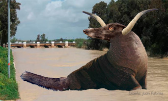 Así pudo ser la criatura desconocida que fue vista en 1955 en el río Genil de Écija